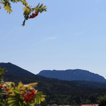 Garni Edelweiss Otel Siegsdorf