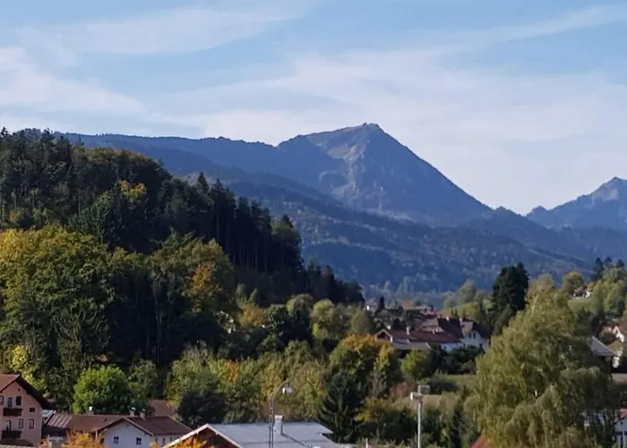 Garni Edelweiss Hotel Siegsdorf