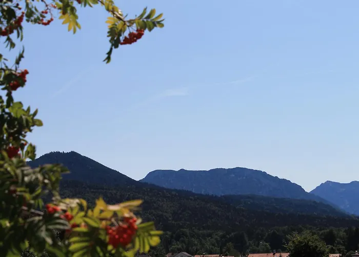 Garni Edelweiss Hotel Siegsdorf