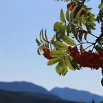 Garni Edelweiss Hotel Siegsdorf